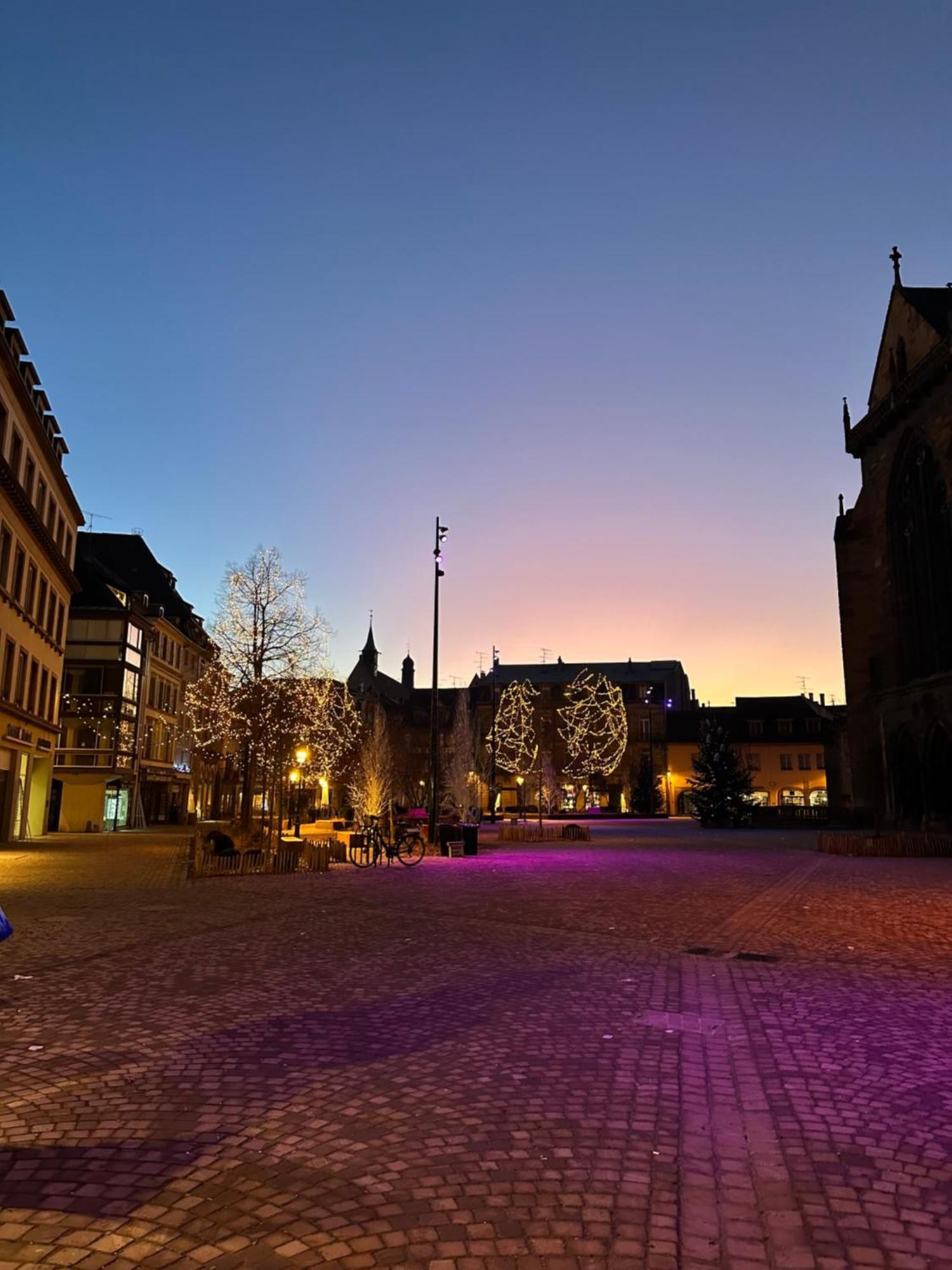 Le Muscat Lägenhet Colmar Exteriör bild