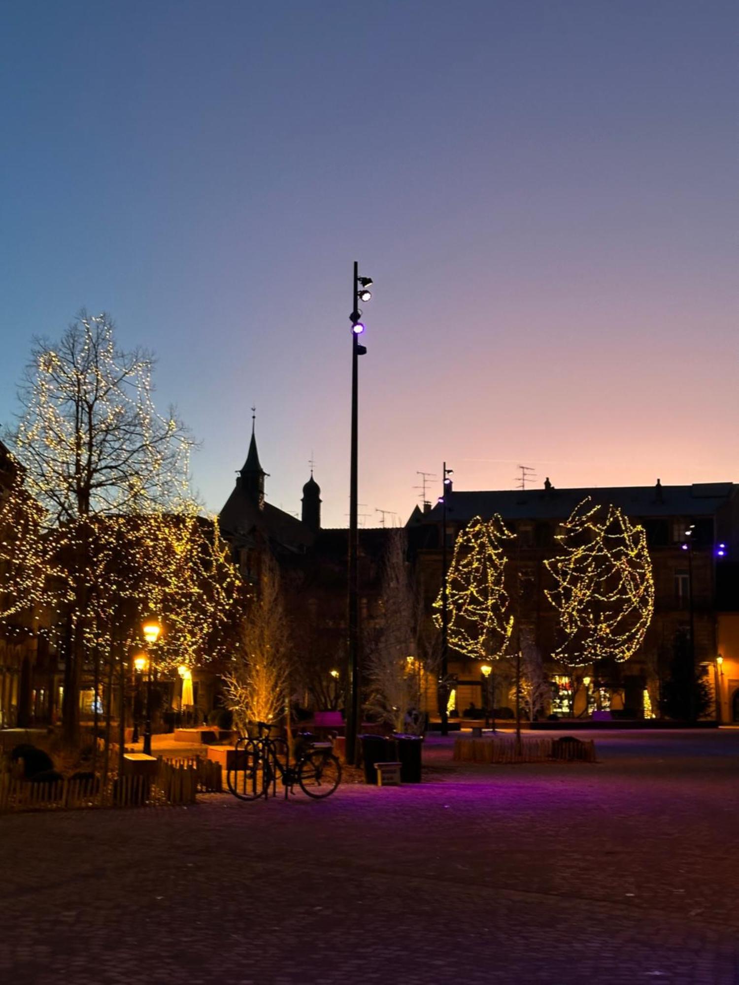 Le Muscat Lägenhet Colmar Exteriör bild
