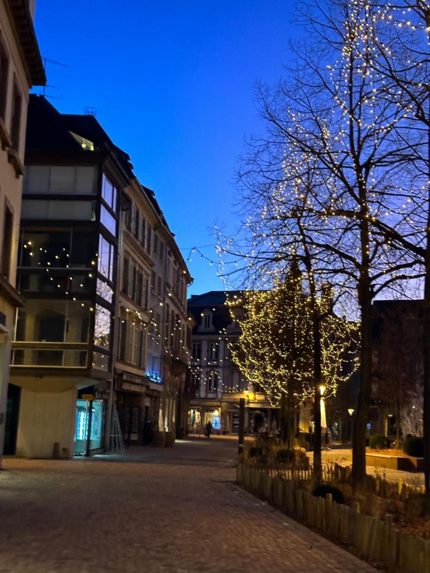 Le Muscat Lägenhet Colmar Exteriör bild