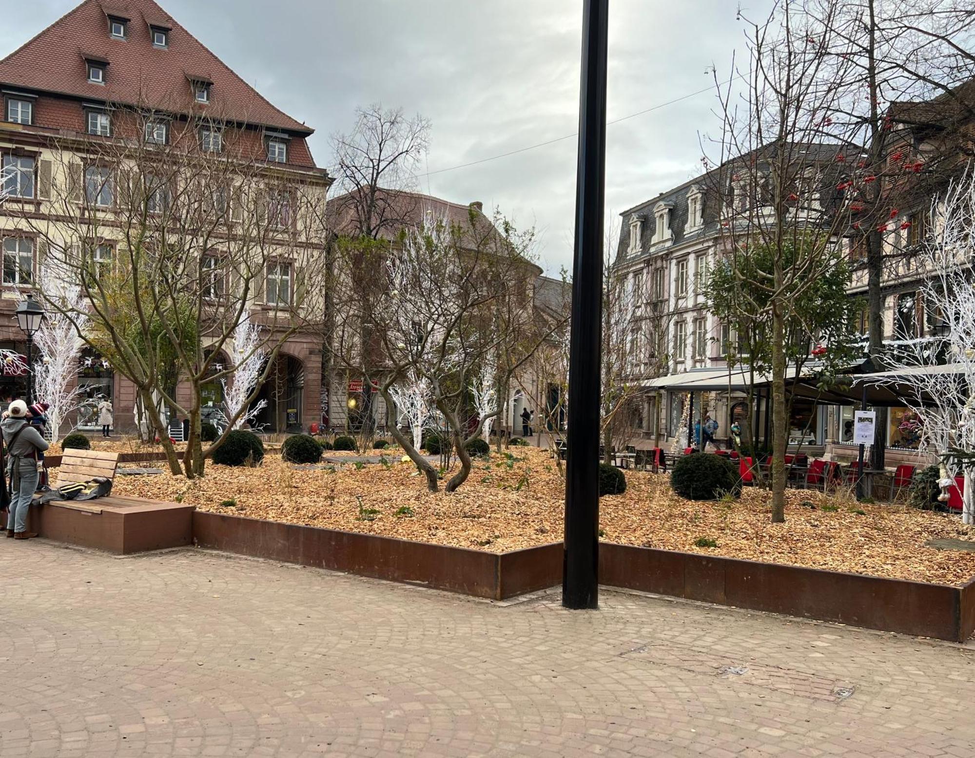 Le Muscat Lägenhet Colmar Exteriör bild