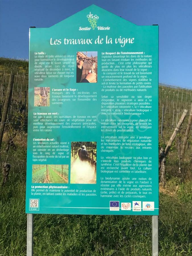 Le Muscat Lägenhet Colmar Exteriör bild